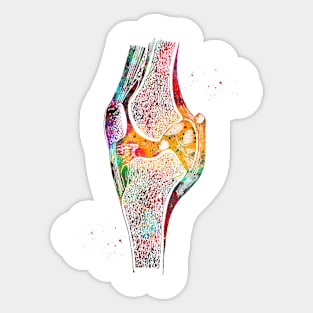 Knee bone Sticker